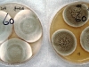 Penicillium funiculosum culture