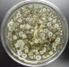 cladosporium-penicillium-colonies.jpg