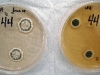 Penicillium brevicompactum culture