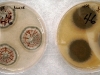 Penicillium corylophilum culture